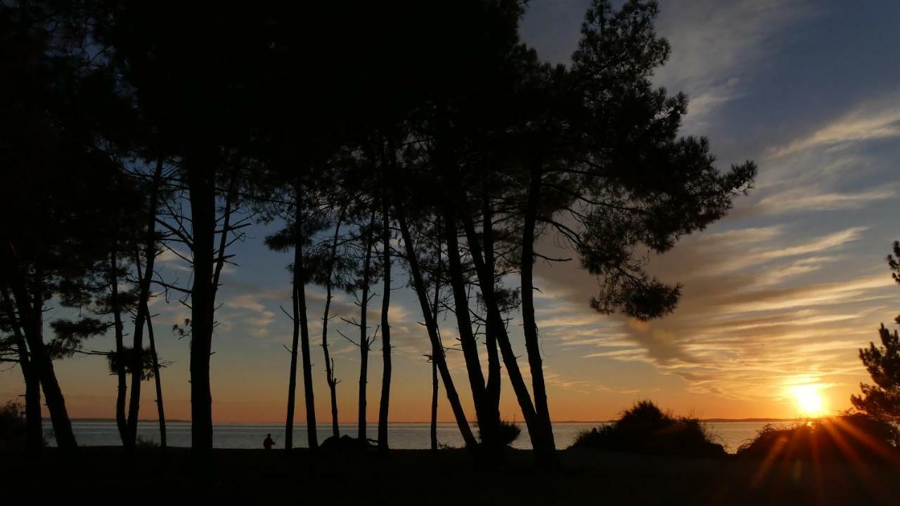 Bleuvelours Bed & Breakfast Andernos-les-Bains Dış mekan fotoğraf